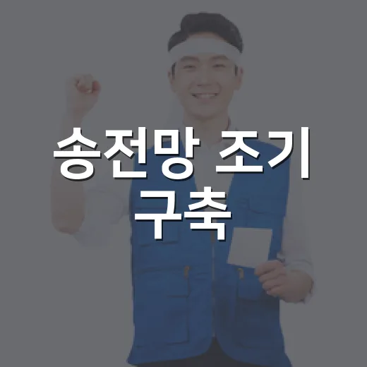 송전망 조기 구축, 메가프로젝트 성공 열쇠 될까