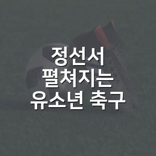 정선서 펼쳐지는 유소년 축구 축제