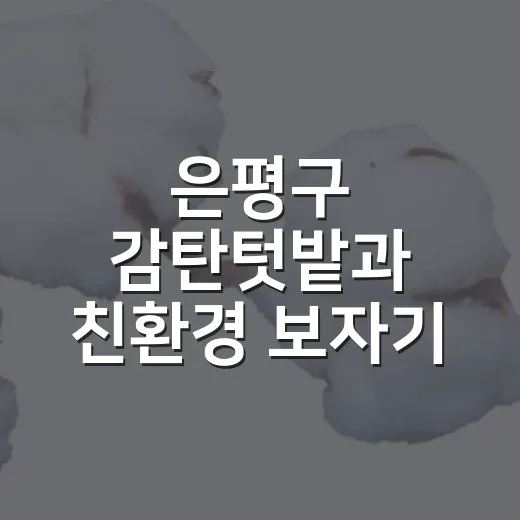 은평구 감탄텃밭과 친환경 보자기 클래스 참여자 모집