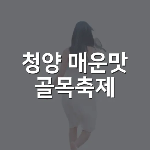 청양 매운맛 골목축제, 가을을 매운맛으로 물들이다