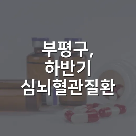 부평구, 하반기 심뇌혈관질환 예방관리 집중
