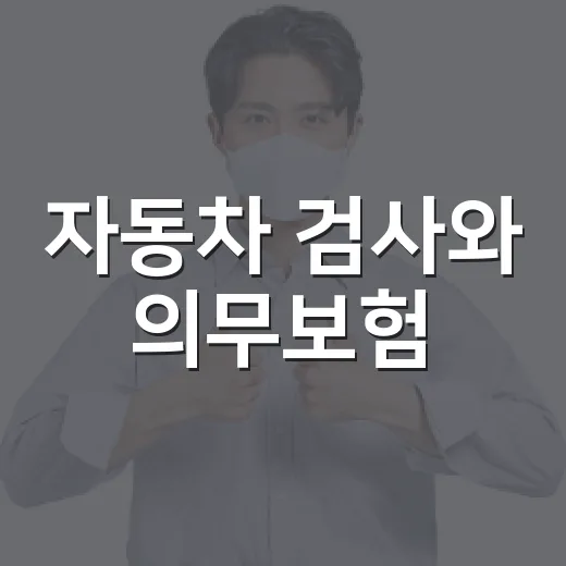 자동차 검사와 의무보험, 반드시 챙기세요