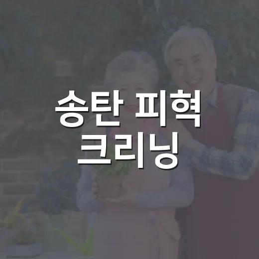 송탄 피혁 크리닝, 착한 가격과 카페트 세탁 서비스
