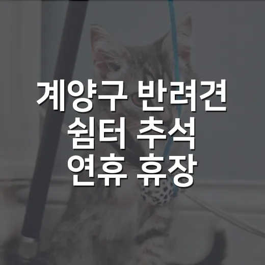 계양구 반려견 쉼터 추석 연휴 휴장 안내