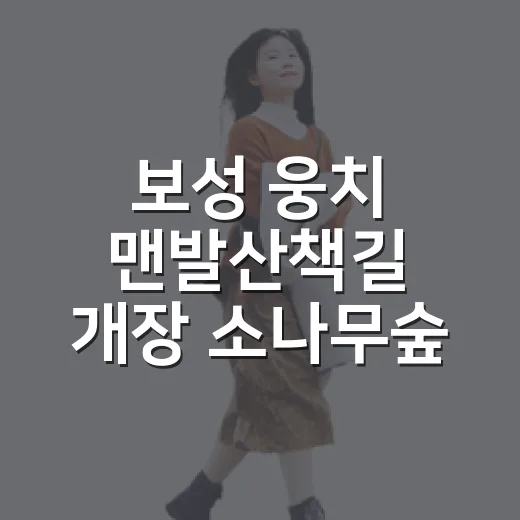 보성 웅치 맨발산책길 개장 소나무숲 힐링 명소