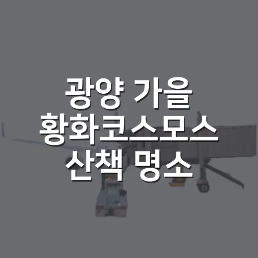 광양 가을 황화코스모스 산책 명소