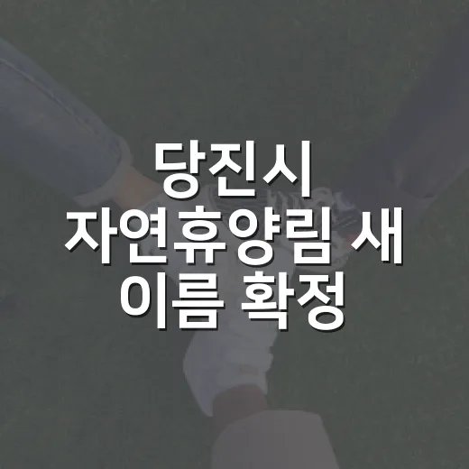 당진시 자연휴양림 새 이름 확정