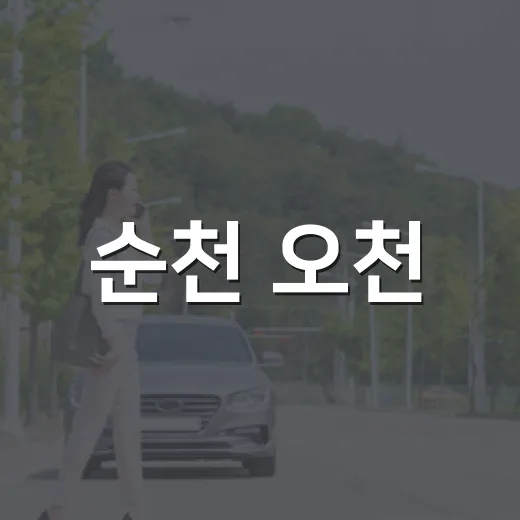 순천 오천·의료원 회전교차로 부분통제 안내
