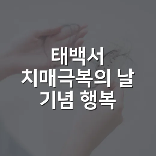 태백서 치매극복의 날 기념 행복·힐링 행사