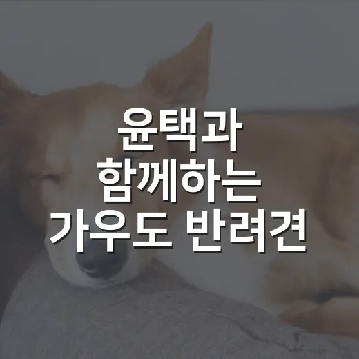 윤택과 함께하는 가우도 반려견 축제