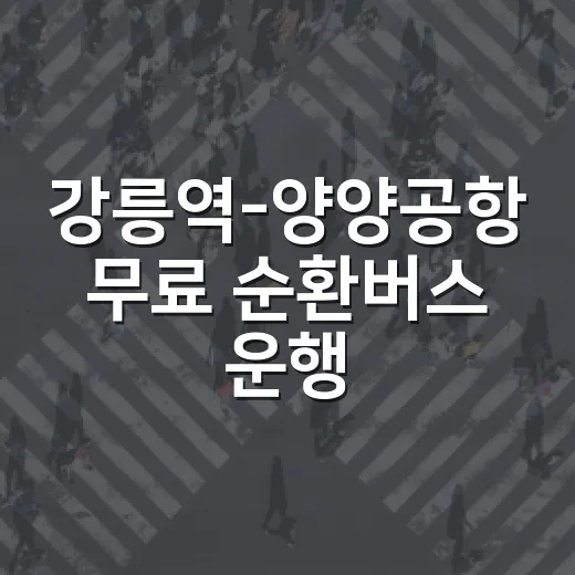 강릉역-양양공항 무료 순환버스 운행 종료