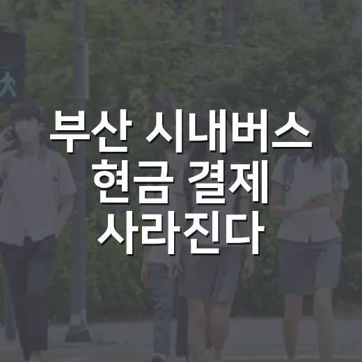 부산 시내버스 현금 결제 사라진다
