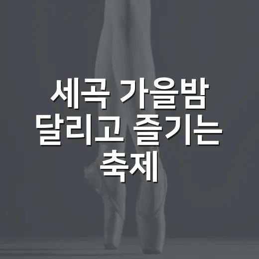 세곡 가을밤 달리고 즐기는 축제