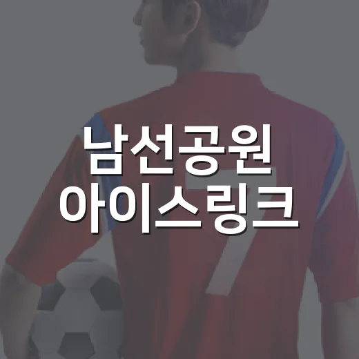남선공원 아이스링크, 사계절 빙상 즐기기