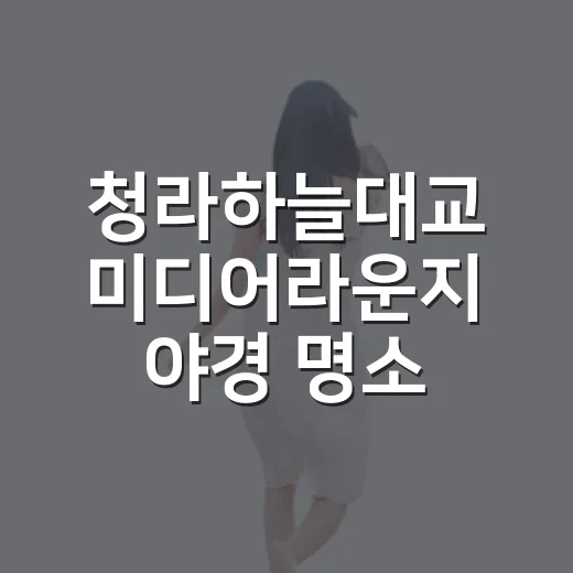 청라하늘대교 미디어라운지 야경 명소 개장