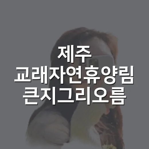 제주 교래자연휴양림 큰지그리오름 숲길 산책