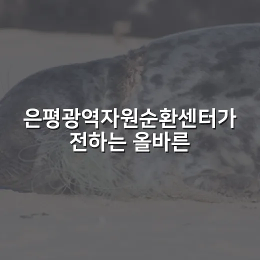 은평광역자원순환센터가 전하는 올바른 분리배출법