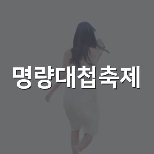 명량대첩축제, 승리의 바다를 다시 걷다