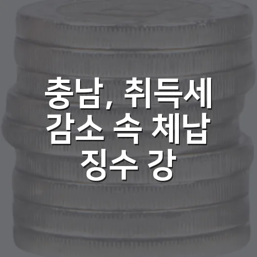 충남, 취득세 감소 속 체납 징수 강화로 세수 확보 총력