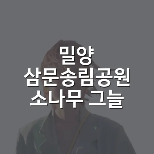밀양 삼문송림공원 소나무 그늘 산책길