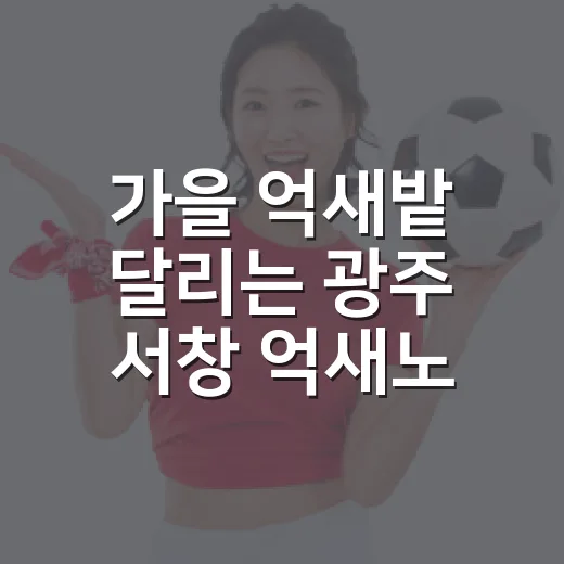 가을 억새밭 달리는 광주 서창 억새노을마라톤