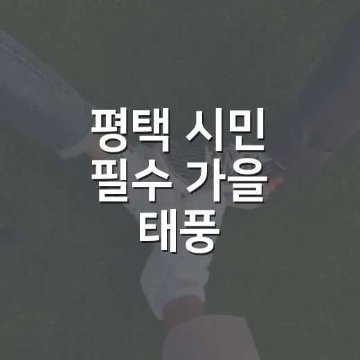 평택 시민 필수 가을 태풍·호우 생존법
