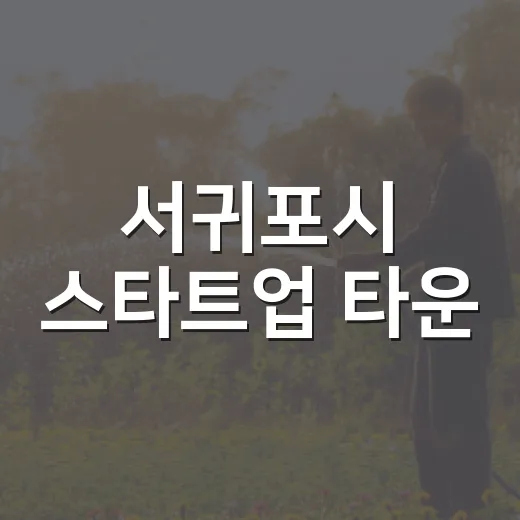 서귀포시 스타트업 타운, 무료 공간 완벽 활용법