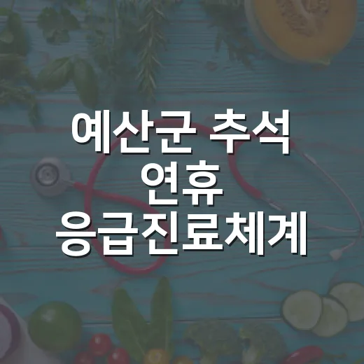 예산군 추석 연휴 응급진료체계 가동