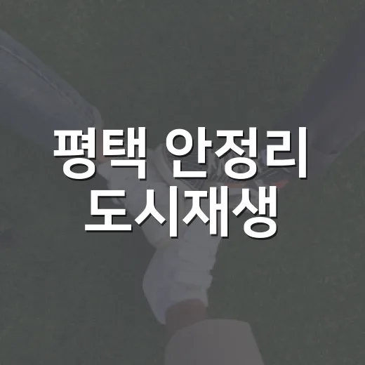 평택 안정리 도시재생, 주민 소통의 장으로