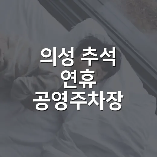 의성 추석 연휴 공영주차장 무료 개방 안내