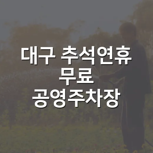 대구 추석연휴 무료 공영주차장 총정리
