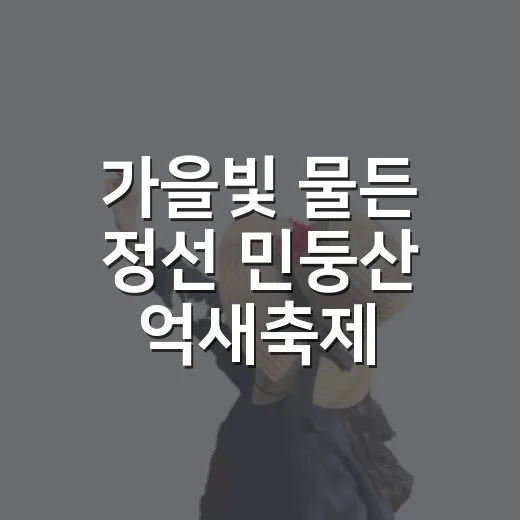 가을빛 물든 정선 민둥산 억새축제