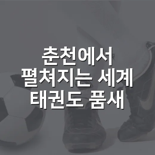 춘천에서 펼쳐지는 세계 태권도 품새 대회