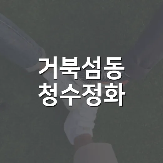 거북섬동 청수정화, 추석맞이 후원금 200만 원 전달