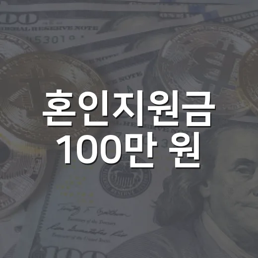 혼인지원금 100만 원, 2027년부터 누가 받나