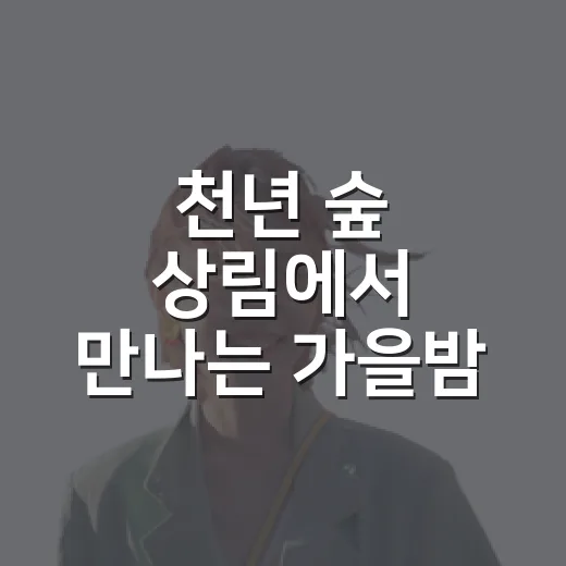 천년 숲 상림에서 만나는 가을밤 야행