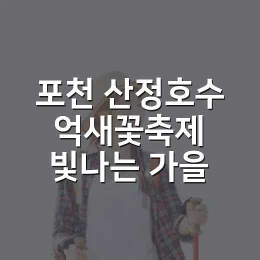 포천 산정호수 억새꽃축제 빛나는 가을 풍경