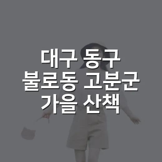 대구 동구 불로동 고분군 가을 산책 명소