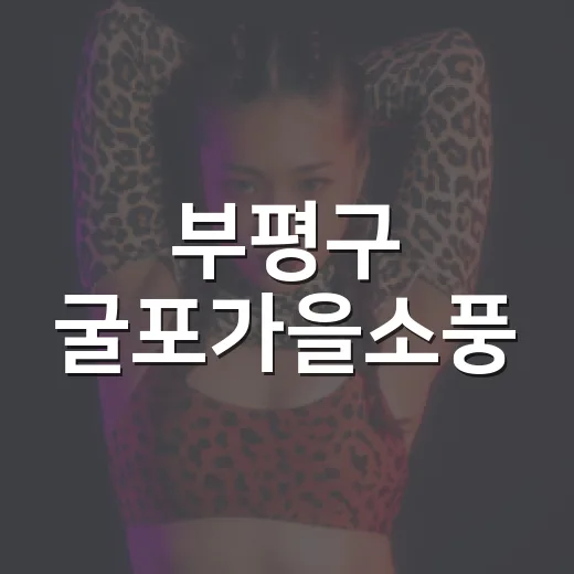 부평구 굴포가을소풍, 가을의 낭만 초대