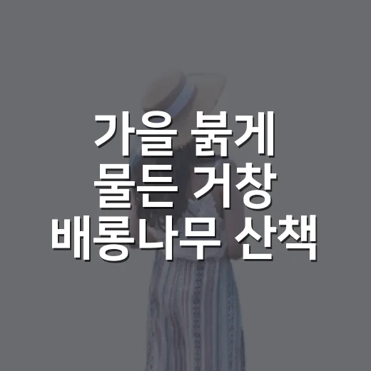 가을 붉게 물든 거창 배롱나무 산책