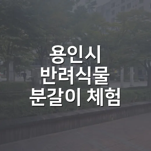 용인시 반려식물 분갈이 체험 서비스 개시