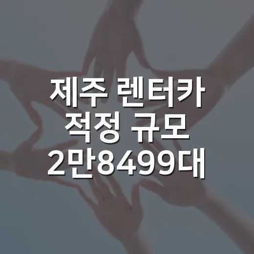 제주 렌터카 적정 규모 2만8499대 확정
