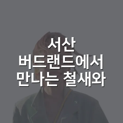 서산 버드랜드에서 만나는 철새와 생태체험