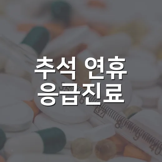 추석 연휴 응급진료, 미리 확인하세요