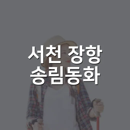 서천 장항 송림동화, 무료 미디어아트와 숲 산책 명소