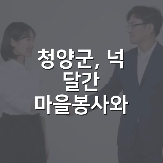 청양군, 넉 달간 마을봉사와 주민총회로 활기