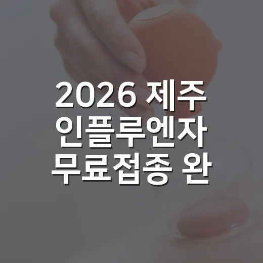 2026 제주 인플루엔자 무료접종 완벽 가이드