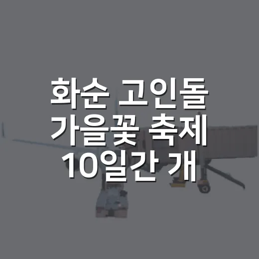 화순 고인돌 가을꽃 축제 10일간 개최