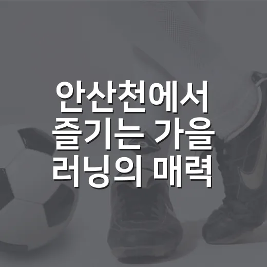 안산천에서 즐기는 가을 러닝의 매력