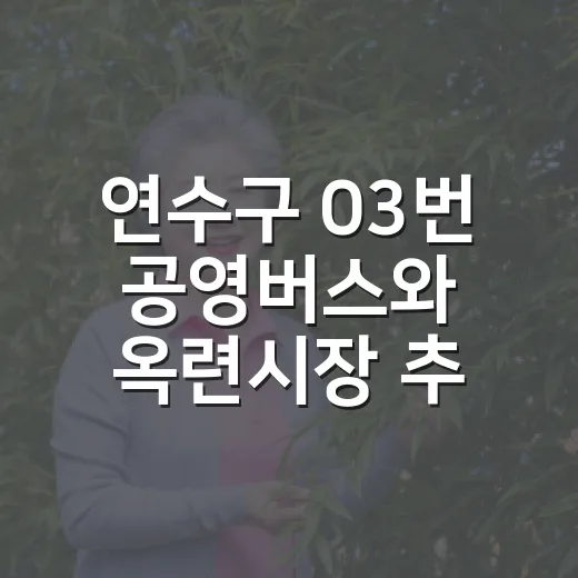 연수구 03번 공영버스와 옥련시장 추석 풍경